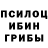 Галлюциногенные грибы мухоморы Graciele Inacio