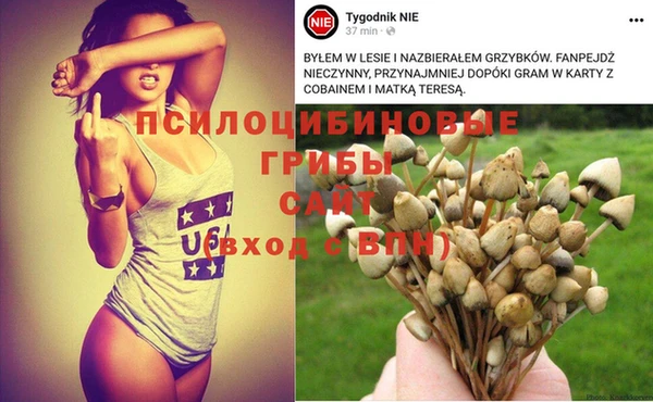 метадон Баксан