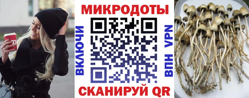 Псилоцибиновые грибы Magic Shrooms  Любим 